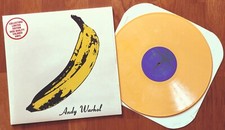 Velvet underground andy usato  Usmate Velate
