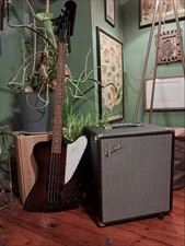 Epiphone thunderbird bass for sale  Waynesville