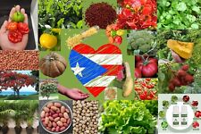 Semillas puerto rico for sale  USA