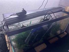 Gallon long aquarium for sale  Sedona