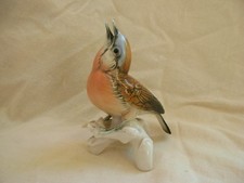 Karl ens oiseau d'occasion  Gien