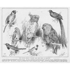 Brighton united kingdom for sale Brighton united kingdom for sale  GLASGOW