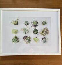 Art print white for sale  Henderson