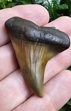 Rare serrated mako d'occasion  Expédié en Belgium
