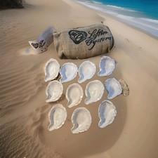 Loftin oysters shells for sale  White Heath