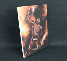 Michael jordan pannello usato  Rho