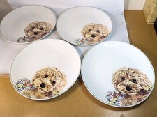 Next charlie cockerpoo for sale  LEEDS