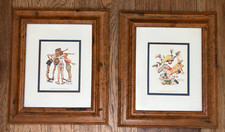 Vintage pro framed for sale  Alto