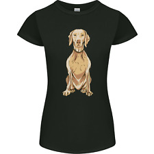 Hungarian vizsla posing for sale  COVENTRY