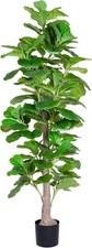 Artificial fiddle leaf for sale  San Francisco