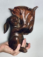 Cute lovely rabbit for sale  Round Rock