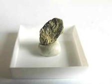 Bismutit lavra itamotinga gebraucht kaufen  Grüna