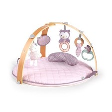 Ingenuity 12421 cozy for sale  Rogers