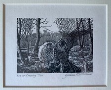 Graham williams limited for sale  MALVERN