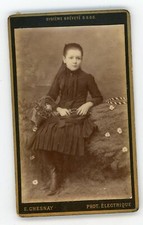 Photo cdv chesnay d'occasion  Avignon