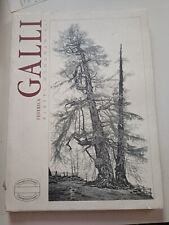 Federica galli alberi usato Federica galli alberi usato  Camogli