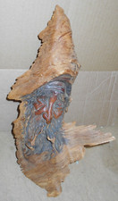 Old man redwood for sale  Frankford