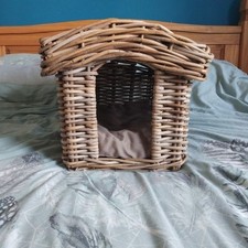 Small dog cat for sale  CRAWLEY