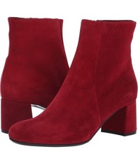 Canadienne jiji suede for sale  Scottsdale