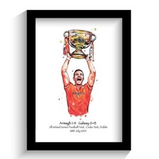 Armagh gaa ireland for sale  NEWRY