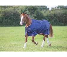 Shires tempest lite for sale  MANCHESTER