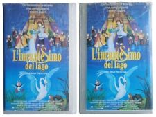 Vhs custodia incantesimo usato  San Nicandro Garganico