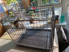 Bird travel cage for sale  UTTOXETER