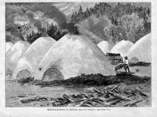 Charcoal burning nevada for sale  New London