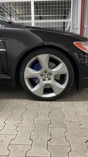 Riginale jaguar volans gebraucht kaufen  Idstein