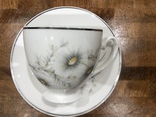 Mayfair bone china for sale  EXETER