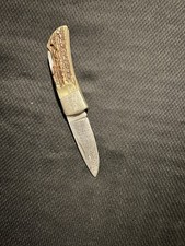 Parker fat stag for sale  West Plains