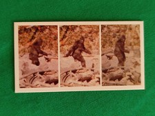 Vintage 1987 brooke for sale  DEAL