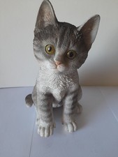 Vivid arts pet for sale  BISHOP AUCKLAND