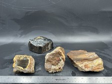 Beautiful pieces petrified for sale  Roseburg