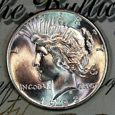 peace collection dollar for sale  USA