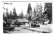 logging tractor for sale logging tractor for sale Cottage Grove
