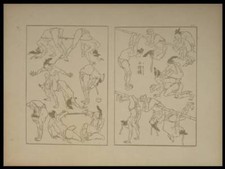Hokusai manga 1889 usato  Spedire a Italy