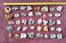 Forty small natural for sale  GOSPORT