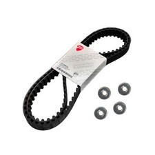 Kit cinghia distribuzione usato  Sesto San Giovanni