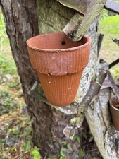 1903 turpentine herty for sale  Brooksville