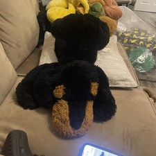 Large rottweiler dog for sale  WALLSEND