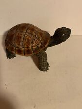 Small wood turtle for sale  Hillsboro