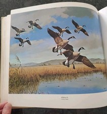 A GALLERY OF WATER FOWL AND UPLAND BIRDS Gene Hill Illustrated Hardcover 1978 segunda mano  Embacar hacia Mexico