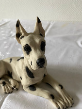 Dalmatiner dogge hund gebraucht kaufen  Oberhausen