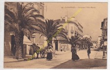 Sepia 83700 saint d'occasion  Expédié en Belgium