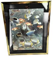 Tropical fish underwater for sale  Spring Branch