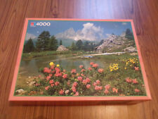 Puzzle 4000 pièces d'occasion  Verny