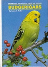 Budgerigars georg radtke for sale  UK