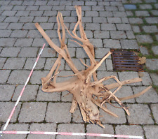 Super xxxltraumwurzel moorkien gebraucht kaufen  Merching