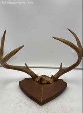 Deer antler brown for sale  Detroit